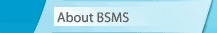 About BSMS