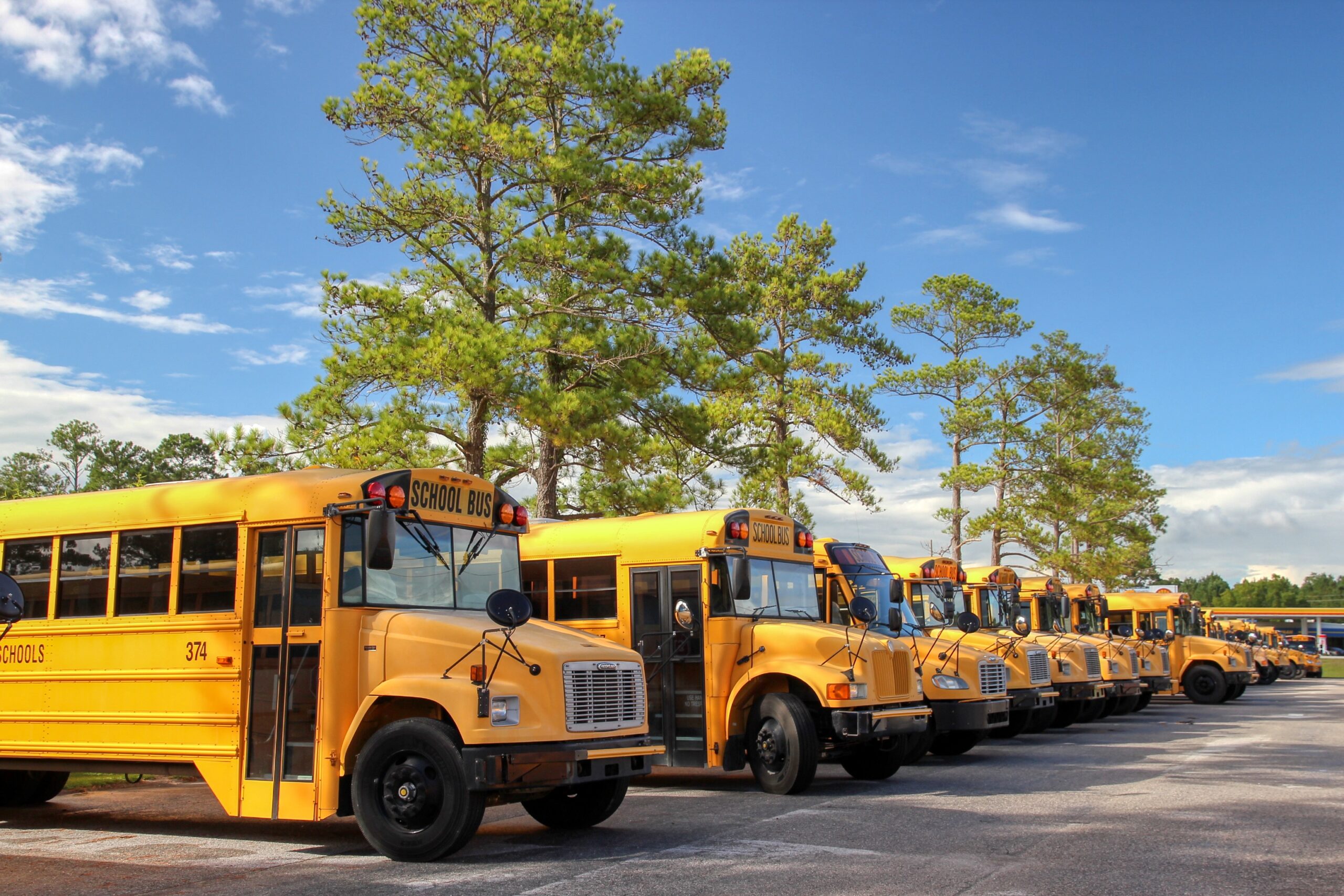 school buses